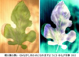 ʐ^ł͂悭܂񂪁c